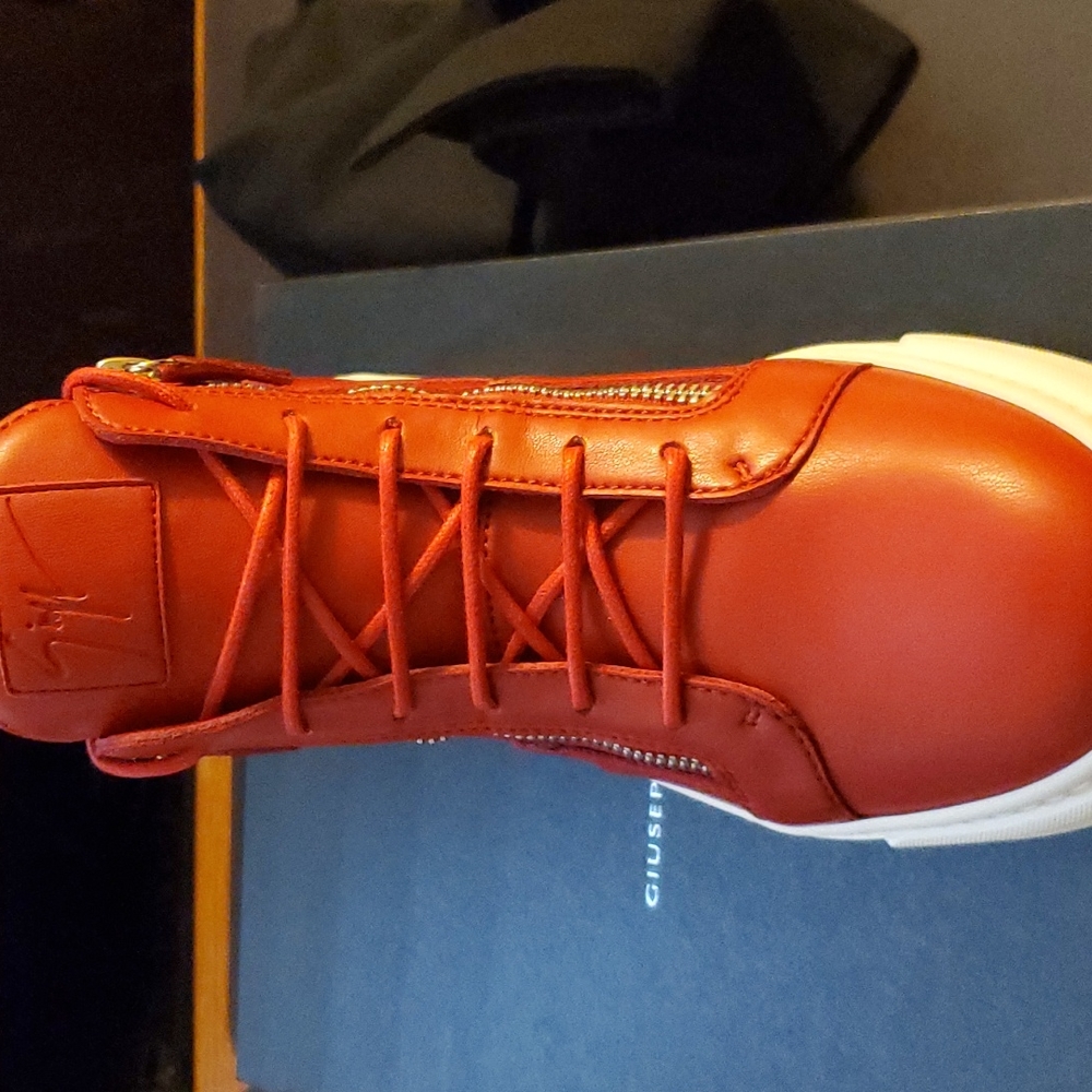 Giuseppe Zanotti